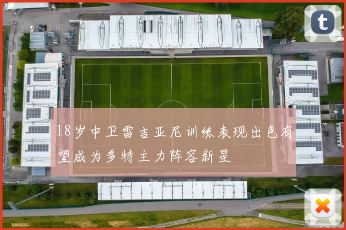 18岁中卫雷吉亚尼训练表现出色有望成为多特主力阵容新星